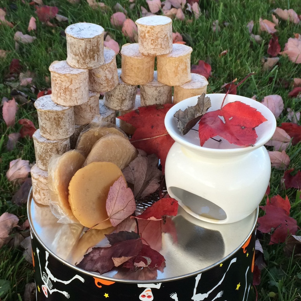 10/$13! 🍂Wax melts & burner🍂